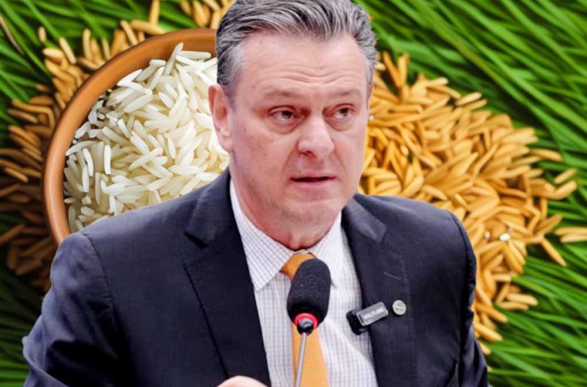  Ministro da Agricultura apresenta prioridades do Mapa para 2025/26