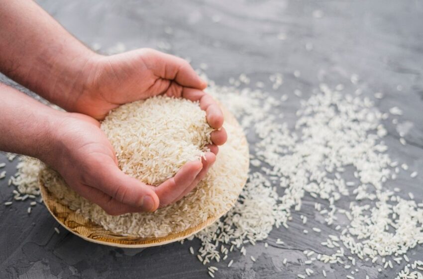  Preço do arroz ao consumidor teve reajuste de 23% nos últimos 12 meses
