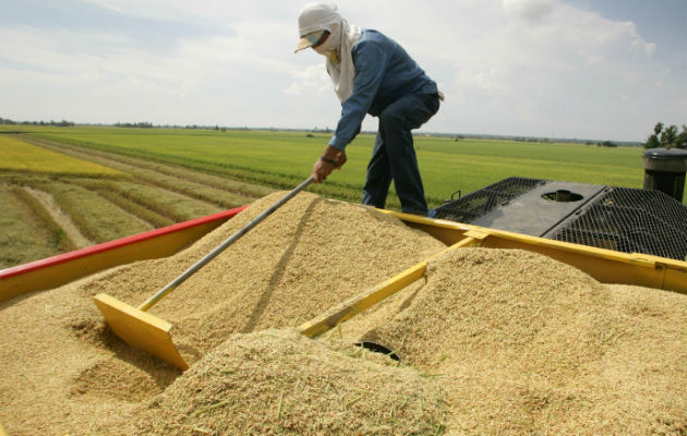  Importação de arroz  uruguaio gera crise no Panamá