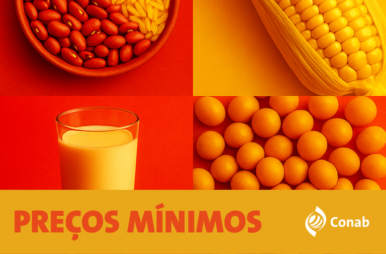  Novos preços mínimos regionais do arroz são definidos para a safra 2025/2026