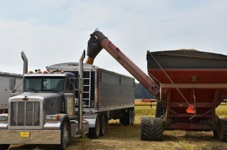 O arroz de grão longo dos EUA tem sido vendido por US$ 790 a US$ 800 a tonelada métrica, principalmente por causa da diferença de qualidade entre o arroz dos EUA e o grão de outros países. Brent Murphree