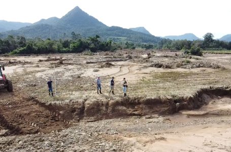 Apesar do novo crédito, ainda haverá produtores sem acesso. Foto: Irga