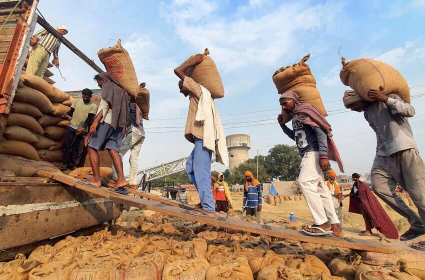  Governo indiano permite exportação de arroz não basmati para seis países