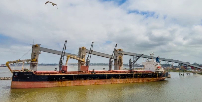  Dambo exporta 42.000 toneladas de arroz para a Venezuela