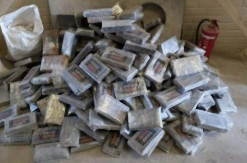  Interceptados na Bélgica 222 quilos de cocaína em carregamento de arroz