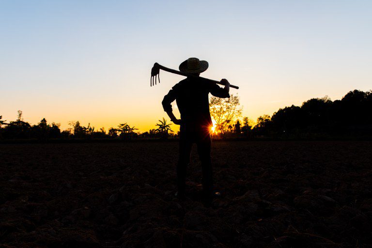  Afundados em dívidas, produtores de arroz pedem socorro; crise ameaça inflação