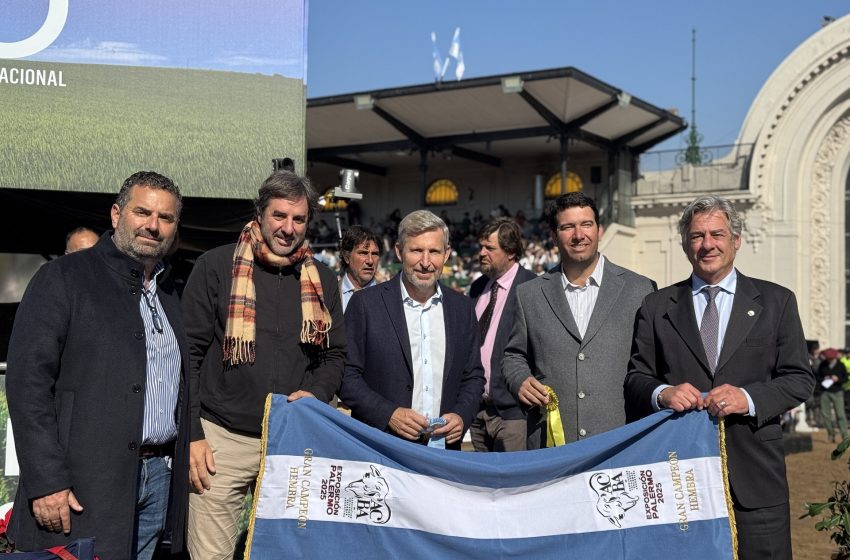 Argentina: Arrozeiros destacam redução na tarifa fixa de energia elétrica em Entre Ríos