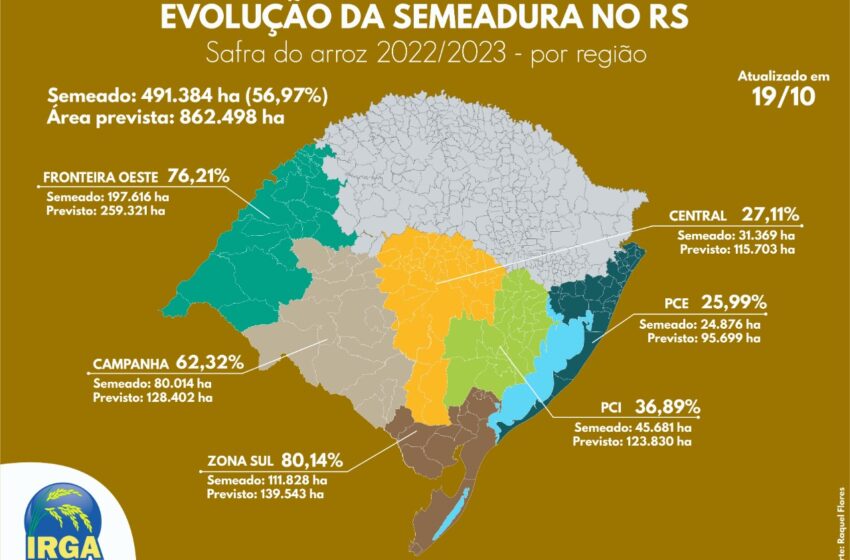  Arroz já tem 57% da área semeada no Rio Grande do Sul