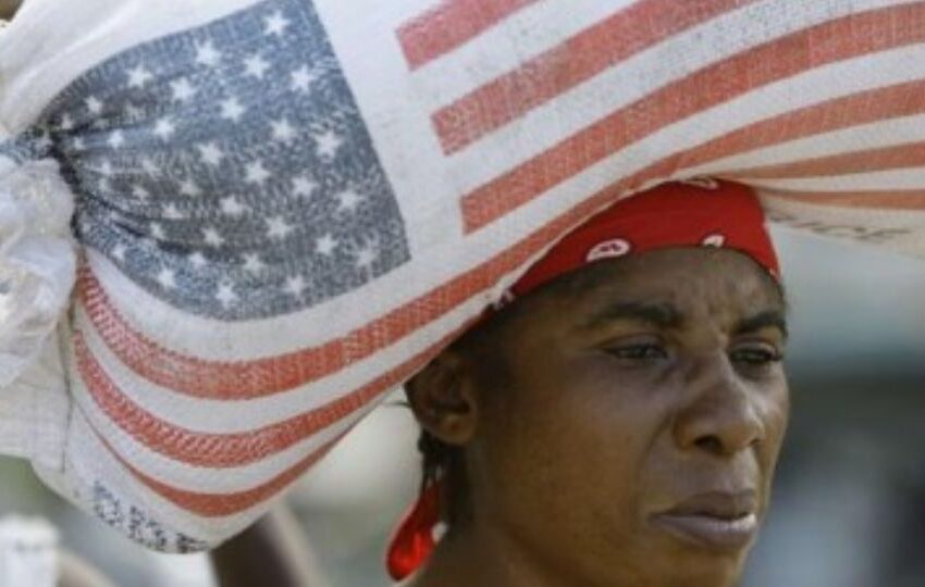  Arroz exportado pelos EUA para o Haiti tem níveis de arsênico prejudiciais à saúde
