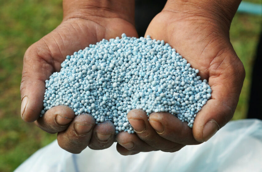  Crise mundial dos fertilizantes aumentará o preço dos alimentos