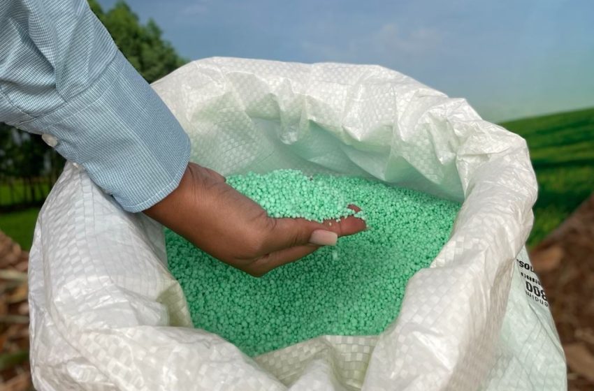  Preços de fertilizantes tendem a subir em 2025