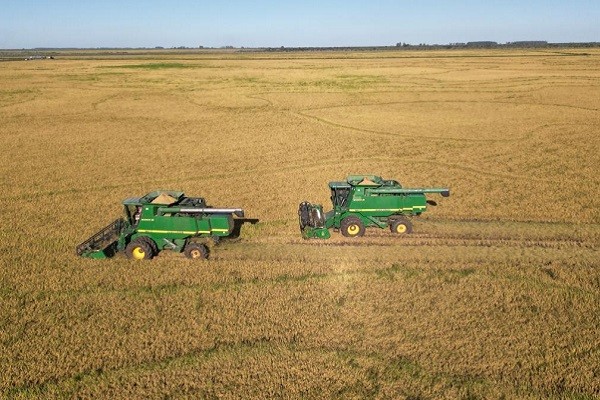  Clima ajuda no desenvolvimento da lavoura de arroz no RS