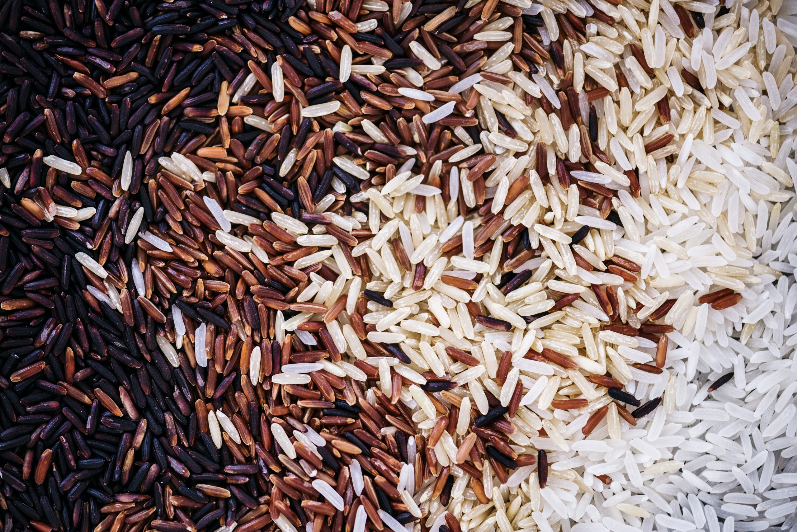 Close up of mixed rice