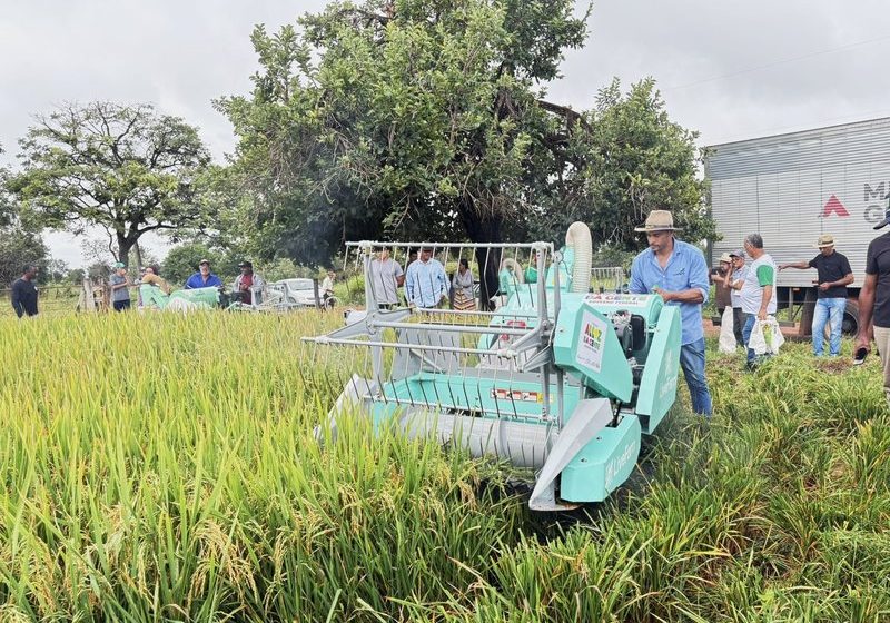 Programa Arroz da Gente amplia mecanização e fortalece agricultura familiar