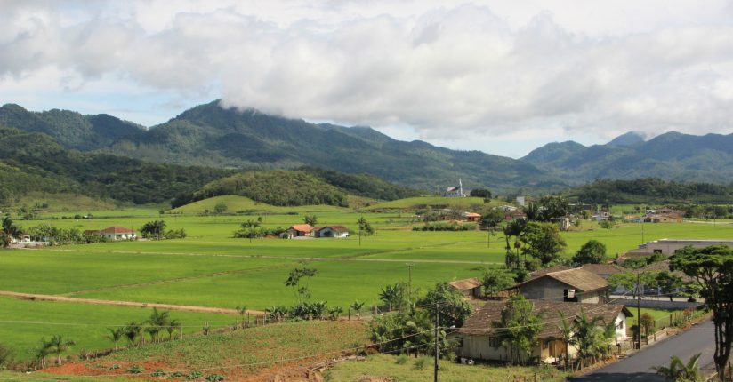  Dia de campo vai abordar os altos custos da adubação dos arrozais