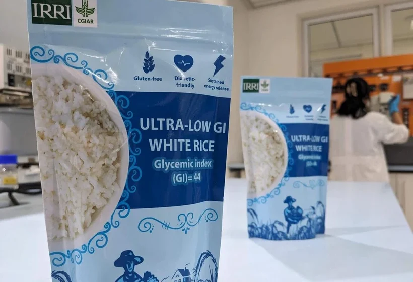  Arroz com baixo índice glicêmico é visto como solução promissora para mitigar crise de diabetes na Ásia