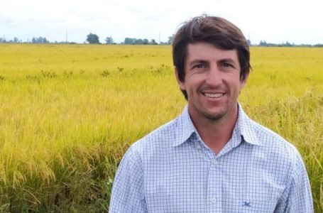 Quique Garcia, de APA: preços, área e produção em queda para o arroz.