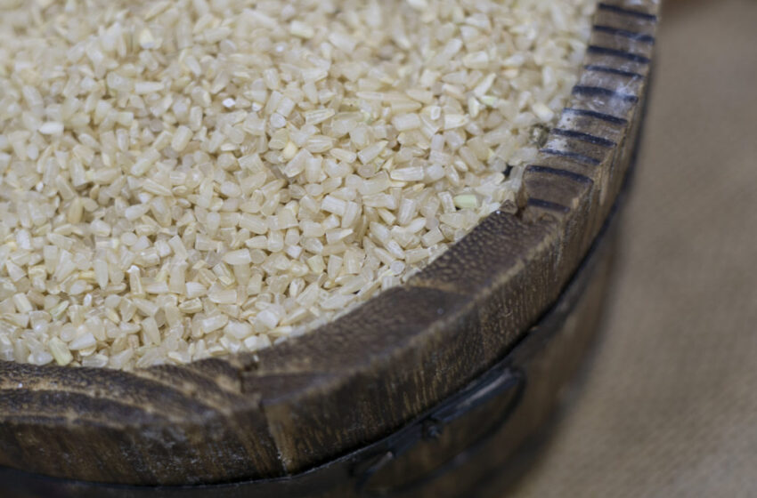  Subprodutos de arroz