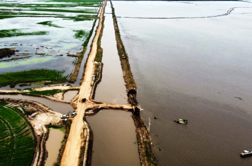  Inundações colocam em risco 54% da área de arroz do Paraguai