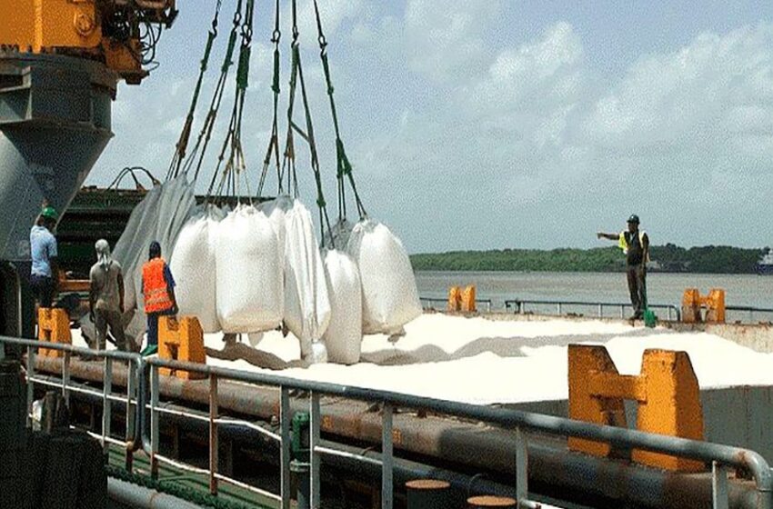  Exportações de arroz da Guiana voltam ao normal com ajuda do governo