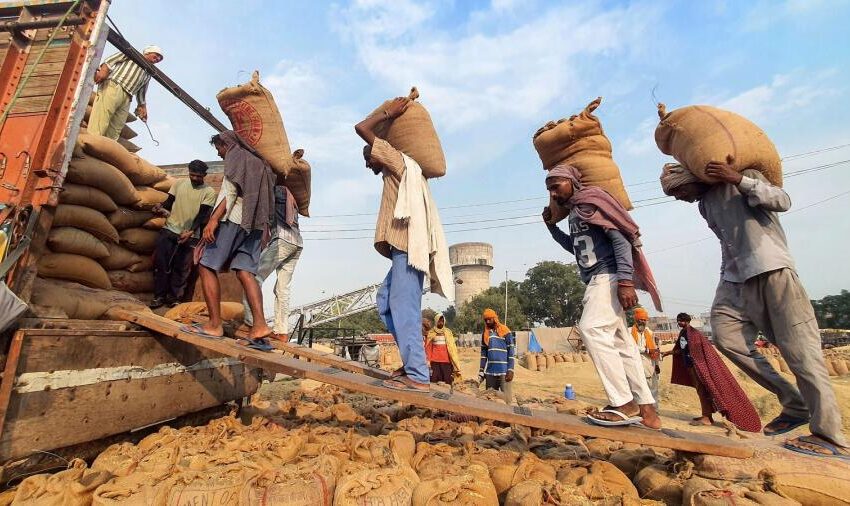  Restrições indianas levam vendas de arroz do Paquistão a um recorde
