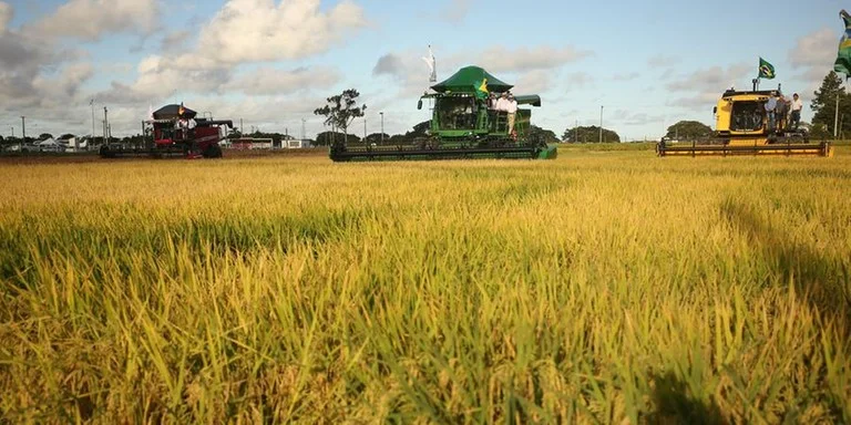  Abertura da Colheita do Arroz destaca inovação e mercado em Capão do Leão