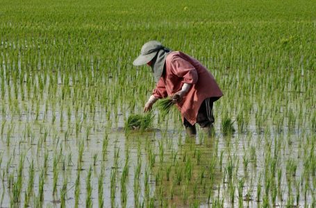 Produção global está em alta. Foto: Divulgação