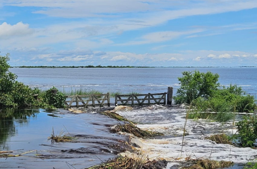  Com perdas de até 4 mil hectares de arroz, Corrientes espera mais tempestades