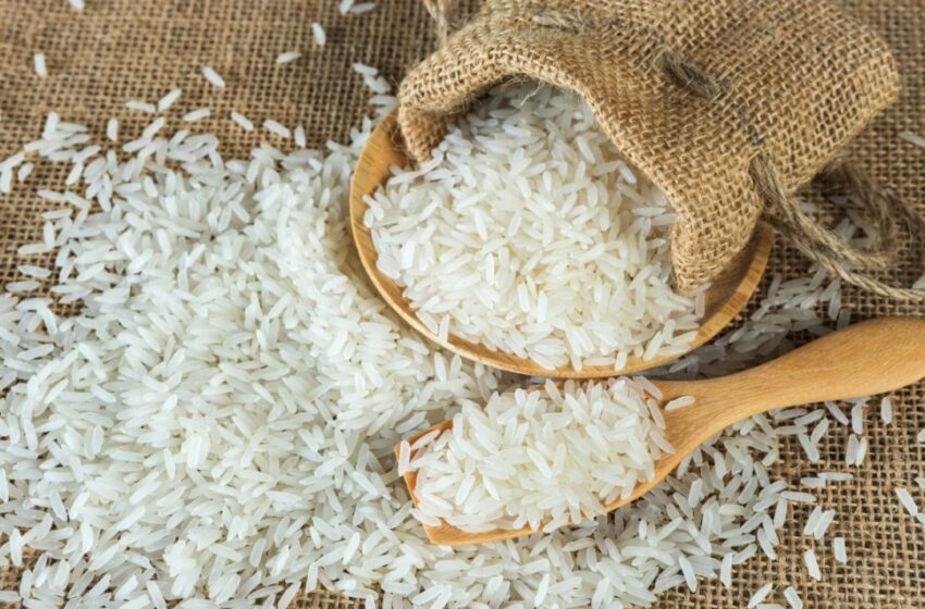  Taiwan importa mais arroz aromático dos EUA