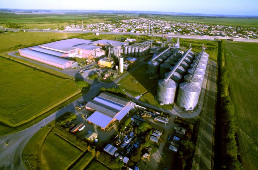  Josapar mais perto de concretizar planta de fertilizantes em Rio Grande (RS)