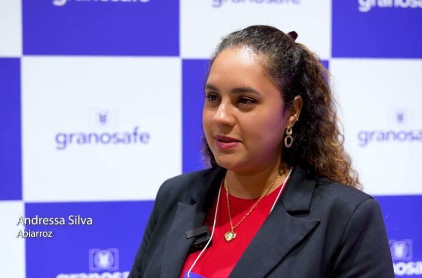 Oscilação de preços levou o consumidor de arroz a perder a referência