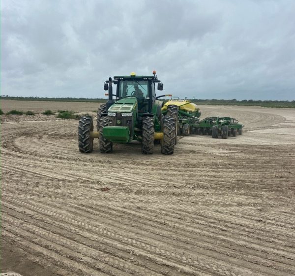  Entre pausas e recomeços, avança a semeadura do arroz no Arkansas – EUA