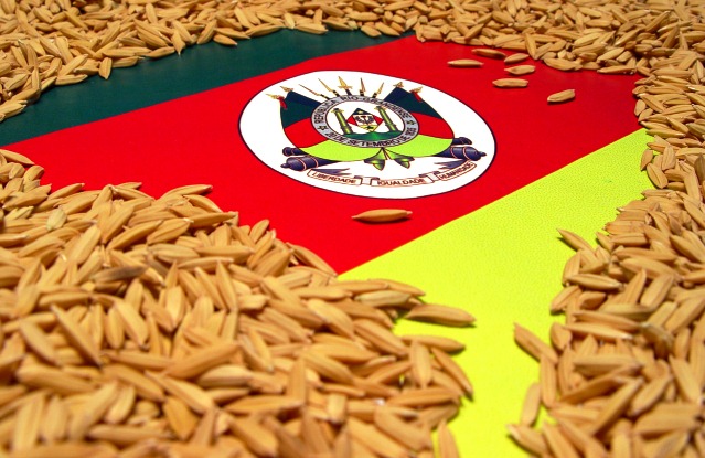  Emater/RS projeta aumento de 4,2% na produção gaúcha de arroz