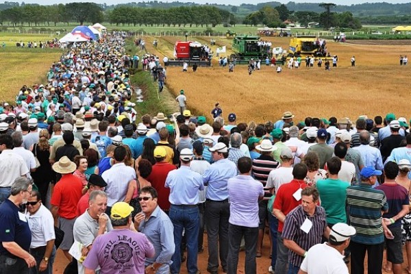  Está aberta oficialmente a colheita do arroz no Rio Grande do Sul