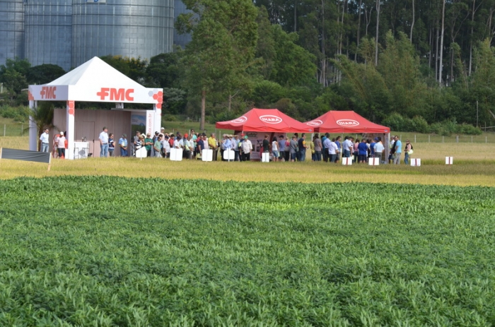  Produção de soja em áreas de arroz exige cultivares adaptadas à várzea, destaca Fundação Pró-Sementes