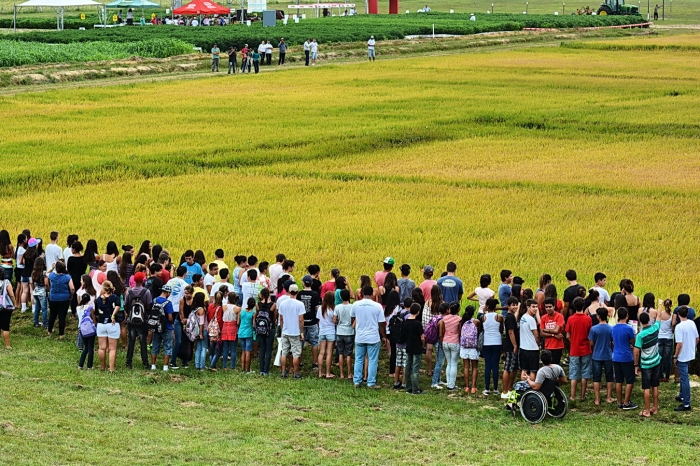  Abertura da Colheita do Arroz movimentou mais de R$ 7 milhões