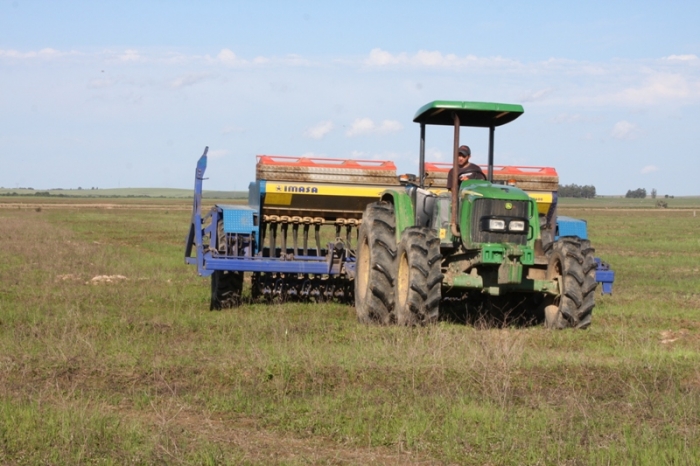  Área plantada no Estado chega a 240.512 hectares ou 21,54% do previsto