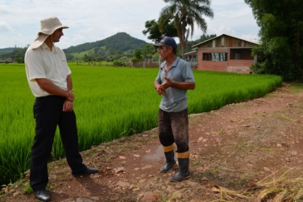  Cooperja comemora sucesso das colheitas e produção de sementes de arroz irrigado