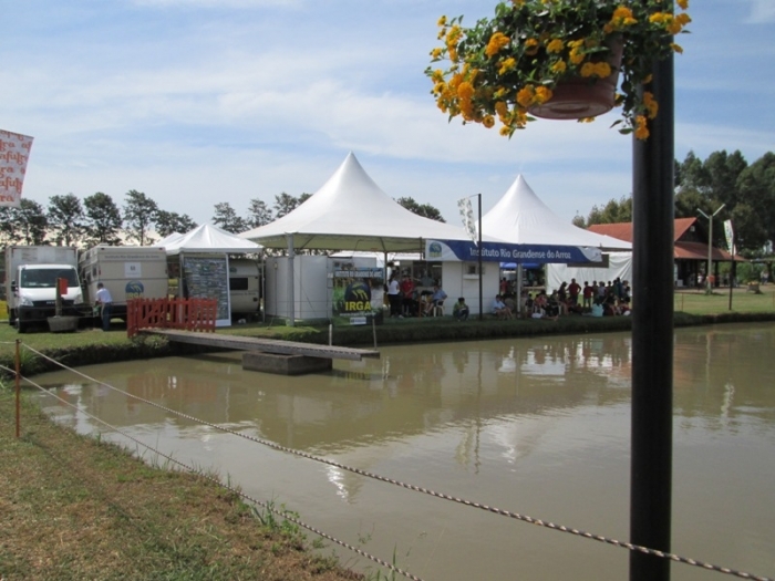  Irga realiza ações de incentivo ao consumo de arroz na 15ª Expoagro Afubra