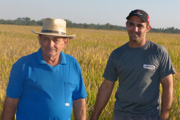  Família Bonfante encerra colheita de arroz com produtividade acima da média