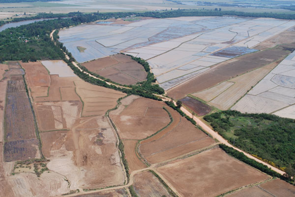  Cachoeira do Sul reduz a área com arroz