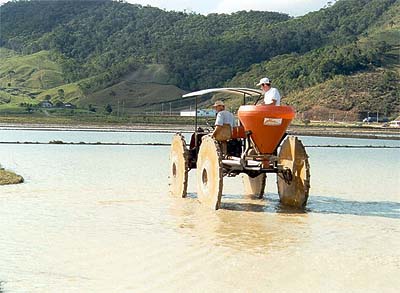  Após subir 11,4% em setembro, preços do arroz mantêm elevação