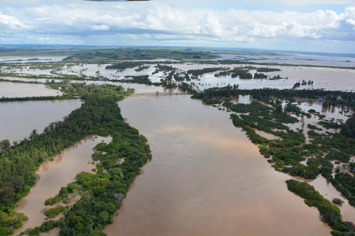  Área de arroz teve acréscimo de apenas meio por cento na semana que passou