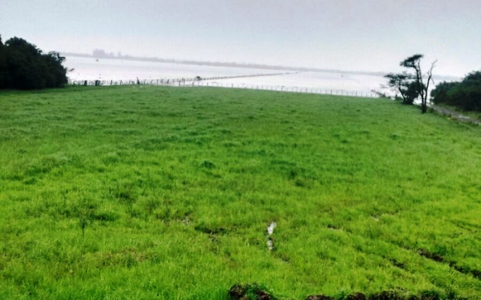  Ampliado calendário para plantio de arroz com cultivares do Grupo IV