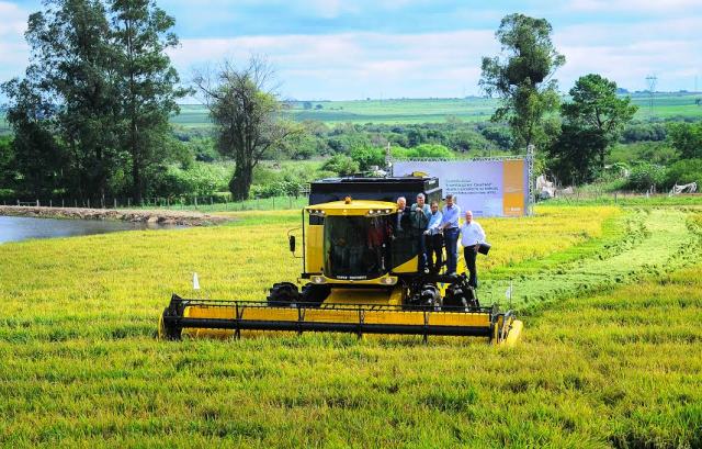  Aberta oficialmente a Colheita do Arroz no Rio Grande do Sul