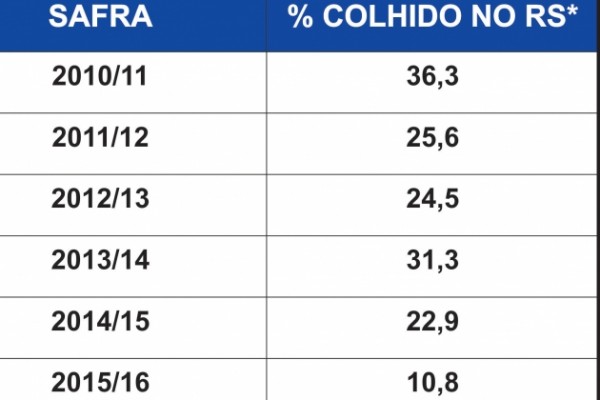  Colheita de arroz no Estado atinge 10% da área