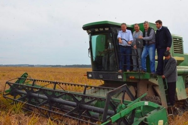  Ministro autoriza BB a renegociar dívidas de produtores de arroz atingidos pelas chuvas