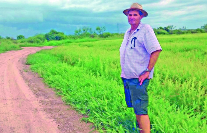  Projeto de 15 mil quilos  por hectare  é lançado  pela RiceTec