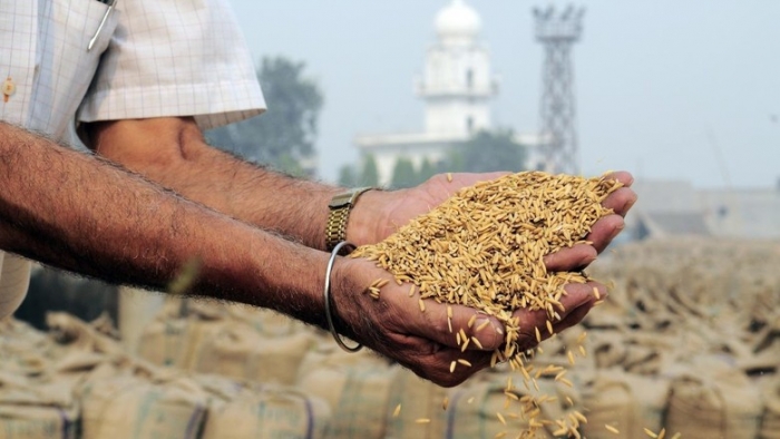  Rússia recorre à Índia por arroz e outros alimentos