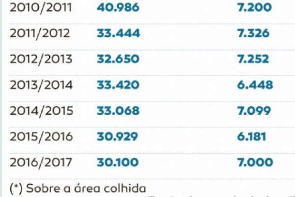  Lavoura segue em redução na Capital Nacional do Arroz